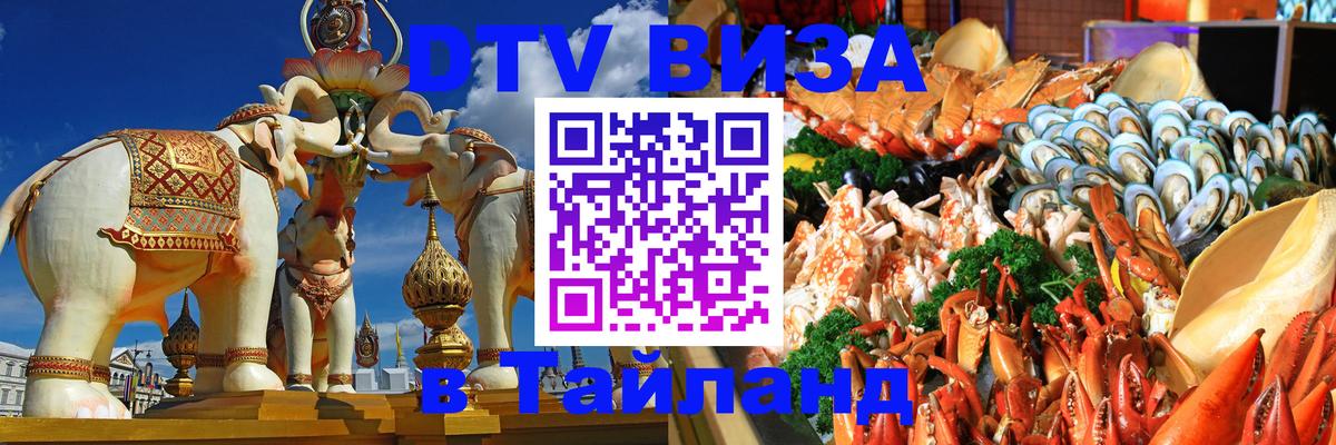 Оформление DTV визы под ключ: стоимость и тарифы, только загранпаспорт - 18.11.2025 